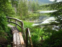 The rest is gently undulating. The 15 Best Things To Do In Prince Of Wales Island 2021 With Photos Tripadvisor