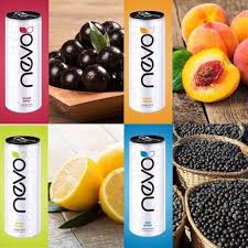 Nevo Boissons Energisantes Citron Gingembre Peche Mangue Acai Raisin Fruits Des Bois De Boisson Energisante Jus De Fruit Calories