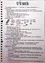 Check spelling or type a new query. Catatan Biologi Sma Kelas 10 12