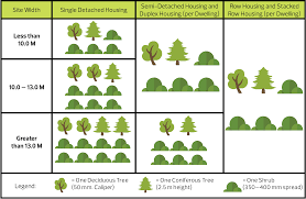 Transforming Edmonton Whats In A Tree New Landscaping