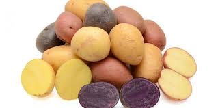 La cuisson importe aussi : Varietes De Pommes De Terre Types Races Especes Noms Lanutrition Fr