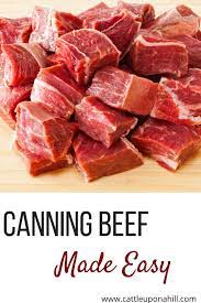 The Easy Way To Can Beef Cattle Upon A Hill Recipe In 2020 Pressure Canning Meat Canned Beef Recipe Home Canning Recipes
