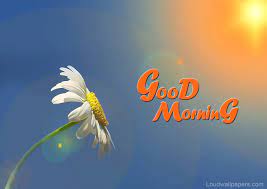 Check spelling or type a new query. During Sunrise Good Morning Flower Wallpaper In High Beautiful Good Morning Images Hd 1920x1357 Wallpaper Teahub Io
