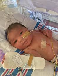 Meet Dorset's cute new arrivals