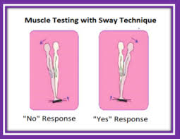 Check spelling or type a new query. Question Muscle Test Brenda Hoehn