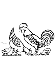 Ausmalbild Huhn Gockel Und Kuken Zum Ausdrucken
