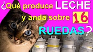 Para resolverlos, es necesario hallar cuál es el patrón que el autor propone y de allí resulta la imagen, o el número que falta. Descarga De La Aplicacion Pictoword 2021 Gratis 9apps