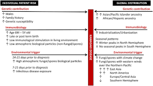 Environmental Epidemiology Of Kawasaki Disease Linking Disease Etiology Pathogenesis And Global Distribution