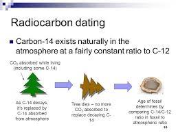 Pieces of fossilized wood in oligocene. Carbon Dating Is Used To Determine Www Topgrade Pk