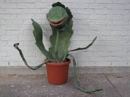 Audrey Ii From Little Shop Of Horrors Little Shop Of Horrors Audrey Ii Halloween Diy