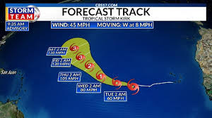 Image result for Tragia kirkiana