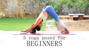 Yoga can reduce insomnia and lower blood pressure. 5 Yoga Poses For Beginners Youtube