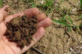 Compare prices & read reviews. Why We Aerate And Compost Lawns Before Overseeding