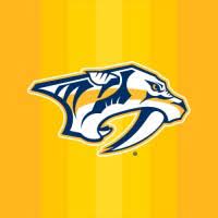 Nashville predators, bridgestone arena among multiple groups statewide pledging to protect guests. Nashville Predators Linkedin