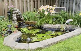 Maybe you would like to learn more about one of these? Getting Rid Of Foam In Your Koi Pond