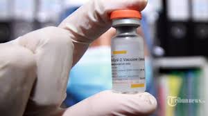 Vaccine trial & approval tracker. Bos Sinovac Buka Bukaan Soal Vaksin Covid 19 Sebut Nama Jokowi Dan Erdogan Halaman 3 Tribunnews Com