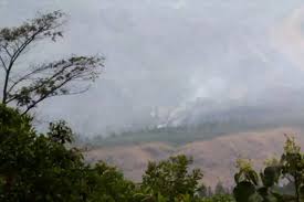 Kebakaran gunung ceremai, yang melanda hutan di taman nasional gunung ceremai,. 50 Hektare Lahan Hutan Di Gunung Ciremai Terbakar