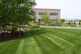 When searching for a trusted and professional lawn care contractor, be sure to read reviews and check out the trustscore of each company before you reach out for a quote. Landscaping Lawn Care Services Company Brampton