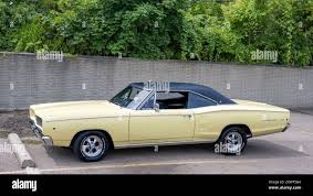 Image result for Yellow 1969 Coronet