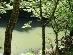 This page reflects the latest version of the apa publication manual (i.e., apa 7), which released in october 2019. Primarul Petre Panescu Si Comuna Ocna De Fier In Prim Planul Parlamentului La Centenar