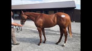 Check spelling or type a new query. Tagula Ire X Raseel Gb Youtube