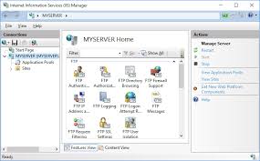 It is very stable, fast, and it won't use many systems resources. Installing A Secure Ftp Server On Windows Using Iis Winscp