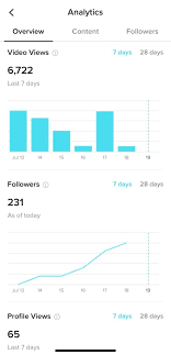 Use phone / email / username Tiktok Analytics Everything You Need To Know Boosted