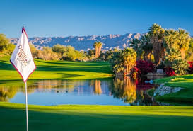 A club for all lovers of cacti, succulents and other desert plants! Explore Greater Palm Springs 25 Things To Do Right Now