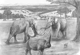 And our love for the english language here recently took me and our graphic designer down the road of collective nouns. Prehistoric Safari The Mid Pleistocene Northern Caucasus The Largest Elephants Head To Head Prehistoric Animals Prehistoric Wildlife Prehistoric World