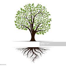 Logo Of A Green Life Tree With Roots And Leaves Vector Illustration Roots Illustration Roots Drawing Tree Art