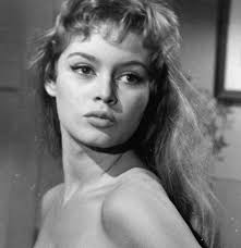 St. Tropez in the 1960s: Where Bohemian Charm Met Glamorous Allure** In the  1960s, the once-sleepy fishing village of St. Tropez blossomed into the  epitome of glamour and style, earning its place