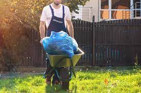 Leaf Clean Up Cost Leaf Removal Cost