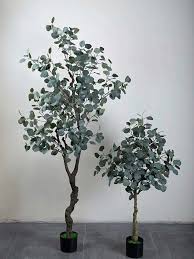 Or the plant can be trained on a pole or trellis for support. Eucalyptus Trees Artificialtree Eucalyptus Fauxtree Faketree Wedding Events Interiordesign Florist Eucalyptus Plant Indoor Eucalyptus Tree Plant Decor