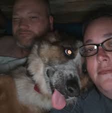 I'm thinking of dismantling all my Lego's I have about 30 sets including  Hogwarts castle small and large I'm bored and got no funds to buy anymore.  Am I mad or do