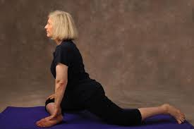 Best Yoga Asanas For Senior Citizens Basic Yoga Poses Yoga Poses Basic Yoga