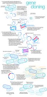 Transgenic organisms are organisms whose genetic material has been changed by the addition of foreign genes. Molecular Cloning Wikipedia