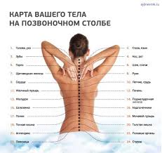диета 5 меню на неделю рецепты после удаления желчного пузыря Pin Na Doske Krasota I Zdorove