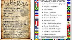 12 Tribe Chart Is A Lie Youtube
