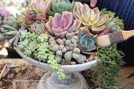 Maybe you would like to learn more about one of these? Diy Floral Style Succulent Centerpiece Step By Step