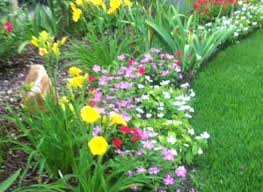 Maybe you would like to learn more about one of these? Retail Plant Nursery Tyler Anderson Custom Landscaping