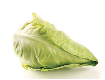 Image result for white cabbage"