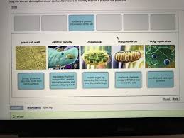 Maybe you would like to learn more about one of these? Mastering Biology Cell Structure 4 3 4 7 Flashcards Quizlet