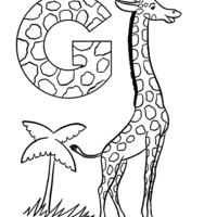 Veja mais ideias sobre girafas, desenho girafa, girafa para colorir. Desenhos De Girafa Para Colorir Tudodesenhos