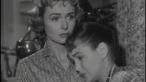 The Donna Reed Show (TV Series 1958–1966)