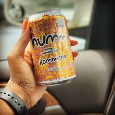 Check spelling or type a new query. 10 Best Kombucha Brands To Improve Gut Health