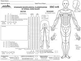 dermatomes development maps teachmeanatomy