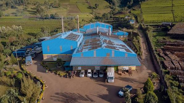 Kipchimchim Group | Kericho