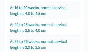Short Cervical Length April 2016 Babycenter Australia