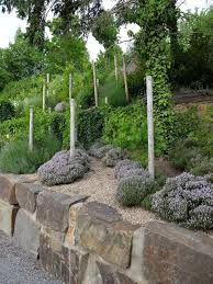 Die blüte der königin der nacht. Weinberggarten Hanggarten I Rheinland Pfalz Landhausstil Garten Bonn Von Besgen Landschaftsarchitektur Houzz