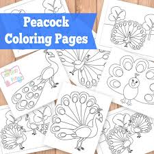 The blue peacock, the green peacock, and the congo peacock. Peacock Coloring Pages Itsybitsyfun Com